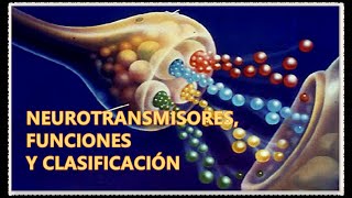 NEUROTRANSMISORES, FUNCIONES Y CLASIFICACIÓN