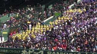 【ブラバン甲子園応援歌】 近江高校　2015センバツ高校野球　アルプス応援チアリーダー