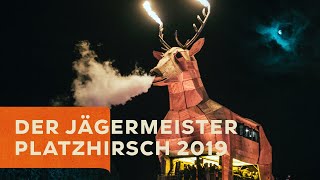 Der Jägermeister Platzhirsch 2019