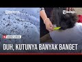 VIRAL, GURU BERSIHKAN KUTU RAMBUT MURIDNYA