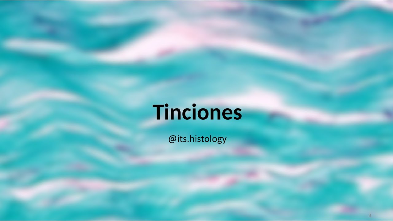 Tinciones - Its.histology - YouTube