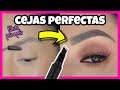 Cejas PERFECTAS FÁCIL paso a paso | Cómo maquillarse LAS CEJAS efecto PELO A PELO ♥♥♥ Andy Lo