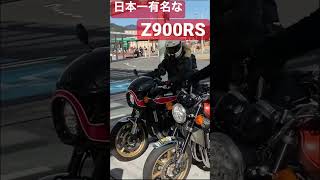 日本一有名な Z900RS つるの剛士 さん 乗るのたの士 さん ドレミコレクション 藤野さん に会った！ バイク モトブログ #Shorts