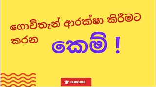 515 ) ගොවිතැන් ආරක්ෂා කර ගන්න කෙම් ක්‍රම .අවසාන කොටස .