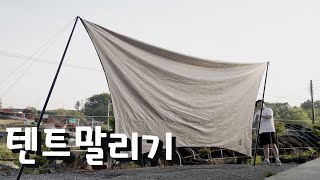 우중캠핑후 텐트 말렸습니다 이제는 우중캠핑 두렵지 않습니다