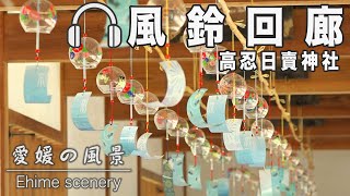 [Stereo sound] The sound of wind chimes echoes coolly throughout the precincts of TakaosiHime Shrine