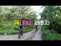 mtb라이더레이 emtb fun riding mtb 점프 과진입하다 뒤질뻔 엠티비 라이딩중 점프 뛸때는 실력에 맞는 진입속도 유지 필수