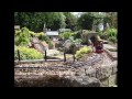 mark found the garden railway prog 7 track laying