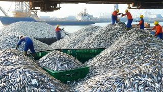 You Won't Believe How Fishermen Catch Massive Herring Schools - Big Net Fishing At Sea