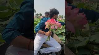 it is in uttar Pradesh Jaunpur full vlog soon . #gujaratal #tal #flower #lotus #shorts