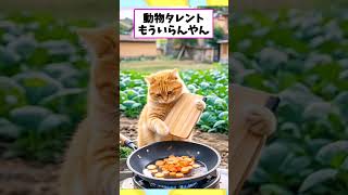 最近のAI動画がすごい #2chまとめ #twitter #2ch名作スレ #2ch面白いスレ #5chまとめ #5ch反応集