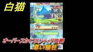 白猫　１０周年イベント　オーバースカイフロンティア攻略　尊い犠牲　ガチャキャラ　キャトラ（鎖剣）サヤ（輝剣）エレノア（魔）赤髪の解放者（斧）　＃２３　【白猫プロジェクト】