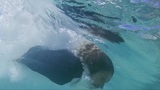 Dave Rastovich and Lauren Hill Bodysurf a Remote Australian Beach Break | The Lost Reels