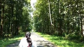 Chapramari Wildlife Sanctuary Dooars | চাপড়ামারি জঙ্গল । Chapramari Forest Car Safari