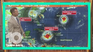 Fred, Grace and Henri: Hurricane Center monitoring 3 Atlantic systems | 5 a.m. update Aug. 17