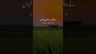 Kalma Sharif, Mian Muhammad Bakhsh | Hanif Qabar Abadi | #sufism #trending #poetry #shorts