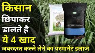 पेड़ी गन्ने की ग्रोथ और कल्ले बढ़ाने का परमानेंट फॉर्मूला। Pedi ganne Mein kalle Kaise badhaye.