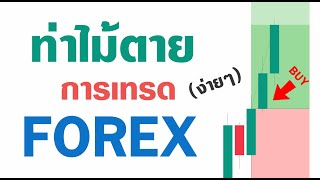 ใครเทรดสาย Price Action - FOREX | คุณควรดูคลิปนี้ เพราะเทคนิคนี้สำคัญ