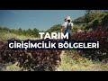 Verimliliğin Yüzyılı İçin | Doğrusu AK Parti