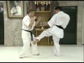 Kyokushin Kumite Image Training Part 2