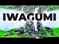 Mastering Iwagumi: The Art of Rock Formations in Aquascaping