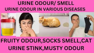 URINE ODOUR,URINE SMELL,FRUITY URINE SMELL,MUSTY SMELL URINE,MOUSE PEE SMELL,CAT URINE SMELL