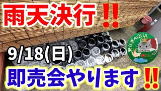 メダカ即売会を開催します‼️品種改良めだか30品種以上‼️雨天決行‼️雨は降らせません‼️皆さん一緒に楽しみましょう(*^^*)