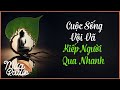 Cuộc Sống Vội Vã - Kiếp Người Qua Nhanh - Mưa Radio