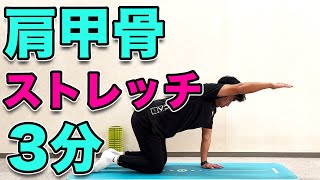 【体幹を使いながら肩甲骨をストレッチ】肩甲骨のストレッチができるようになったら体幹＋肩甲骨のコントロール！