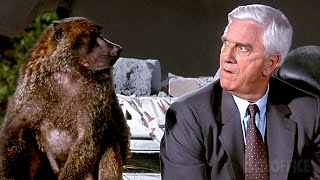 Frank Drebin fährt einen Panzer in einen Zoo | Die nackte Kanone 2 1/2 | German Deutsch Clip