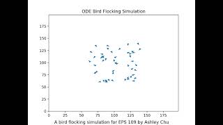 Bird Flocking Simulation (1)