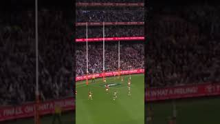 Every Cats Fan Favourite Moment!