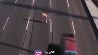 أقوى شخص لايخاف 2019