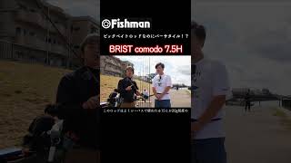 [Fishman]ビックベイトロッドなのにバーサタイル！？【Fishman BRIST comodo 7.5H】#fieldlab #fishing #fishman #shorts