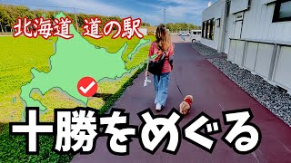 【愛犬と北海道 道の駅スタンプラリー2023／♯17】十勝エリアを巡ります① 道の駅にある開拓記念館は お食事も美味しかった！他