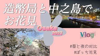 【大阪お花見スポット】造幣局と中之島の桜を贅沢にも昼と夜に堪能！