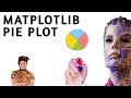Matplotlib Pie Plot in Hindi | Python Matplotlib | Machine Learning Tutorial