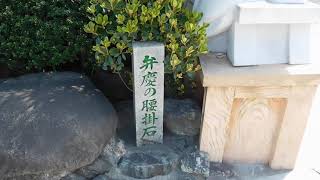 満福寺　感動！満福寺の看板猫“べんけい”ちゃんに初めて会ってきた　∩( ・ω・)∩