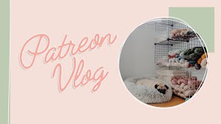 Patreon Vlog // A Regular Weekend