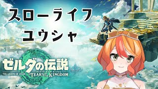 【ゼルダの伝説 ティアーズオブザキングダム】神ゲーの続編を遊び倒す【#25】