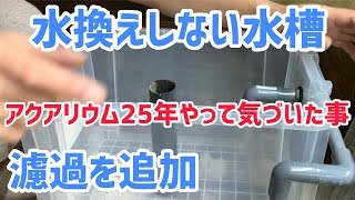 水換えしない水槽。自作の濾過を追加してみた結果が…オオトカゲのいるビバリウム