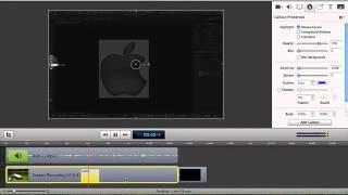 How to Manipulate your Callout & Zoom on ScreenFlow