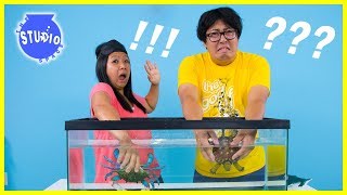 Girls Vs. Boys WHAT'S IN THE BOX CHALLENGE Underwater edition!