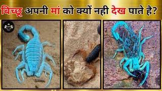 अपनी मां को बिच्छू के बच्चे क्यों खा जाते है? #short #mn_fact #scorpionfact