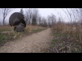 gopro turkey hunt