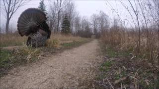 GoPro Turkey Hunt