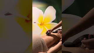 The ZEN SPA Experience - Where Wellness begins