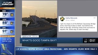 What's Good Tampa Bay? | Where is your favorite walking spot?