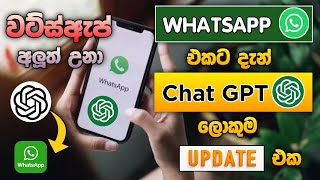 Whatsapp එකට ආව Chat GPT🔥 | Chat gpt To Whatsapp Sinhala | whatsapp big update |  SL Academy