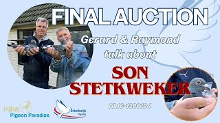 Schalkwijk Pigeons final auction: SON STETKWEKER